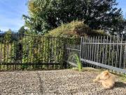 Arriendo hermoso Departamento Studio con patio. Amoblado...