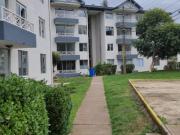 ARRIENDO HERMOSO DEPTO EN PASO HONDO ARRIENDO HERMOSO DEPTO EN PASO HONDO