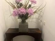 ARRIENDO LINDO APTO AMOBLADO O NO EN EL NOGAL