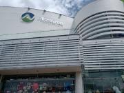 Arriendo Local Centro Comercial Altavista de Armenia Quindio