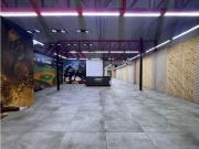 Arriendo Local Comercial, Puente, Santiago