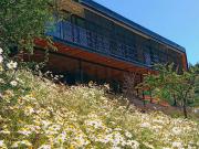 Arriendo Parcela en Condominio de Olmué