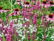 Artannes sur Indre Vente Terrain 37