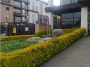 ARTECAMPO