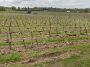 Artigues près Bordeaux 33370 Programme neuf terrain neuf...