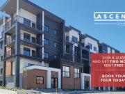 Ascent by Highstreet