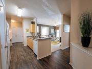 Ascent North 2 Bedroom Apartment for Rent at 12001...