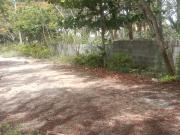 Asha Nanda Gokula Maralak 8000 Sq. Ft. Plot in...