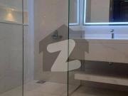 Askari 10 Sector S Brand New House For Rent 5 Bedroom...