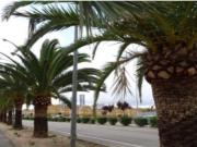 ASPE EN AVENIDA DE ELCHE SOLAR URBANO ACTUALMENTE NAVE...