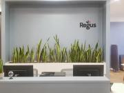 AssociaÃ§Ãµes de coworking flexÃveis em Jamel CecÃlio