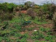 ATENÇÃO CONSTRUTORES E INVESTIDORES: LOTE PLANO 300m NO...