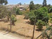 ATENCION! INMOBILIARIAS NO PIERDA ESTA OPORTUNIDAD