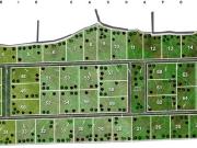 Atención inversionistas