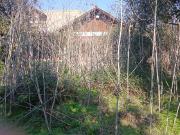 Atencion OPORTUNIDAD Inversionistas