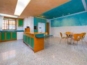 Atico Duplex en alquiler en Torrevieja, Torrevieja