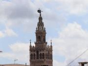 Ático en Venta en Alfalfa Santa Cruz