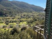 Ático en Venta en Andratx pueblo