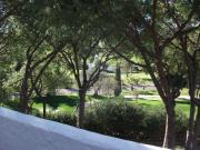 Ático en Venta en Casco Antiguo