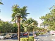 Ático en Venta en Florida Baja