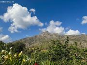 Atico en Venta en Marbella, Málaga