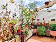 Ático en venta en Marbella, San Pedro de Alcántara...