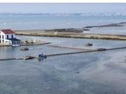 Atico en Venta en San Pedro del Pinatar, Murcia