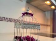 Ático Venta Mérida, San Luis San Juan Santa Isabel