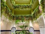 Ático Venta Torrevieja, Playa del Cura