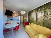 Aticos en alquiler en Pilar de la Horadada, Torre De La...