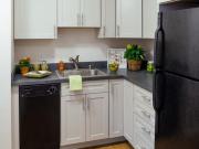 Atrio Boston 2 Bedroom Apartment for Rent at 18 Haviland...