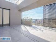 Attico arredato con terrazzo Campo di marte