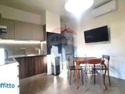 Attico arredato con terrazzo Cit turin