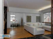 Attico arredato con terrazzo Flaminio, fleming, vigna... Attico arredato con terrazzo Flaminio, fleming, vigna...