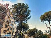 Attico arredato con terrazzo Flaminio, fleming, vigna...
