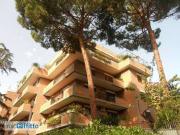 Attico arredato con terrazzo Nuovo salario, prati...