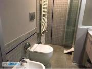 Attico arredato con terrazzo San salvario Attico arredato con terrazzo San salvario