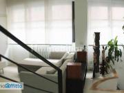 Attico arredato con terrazzo Trieste, salario