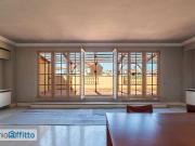 Attico arredato con terrazzo Trieste, salario