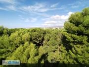 Attico con terrazzo Albaro