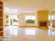 Attico con terrazzo Trieste, salario