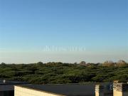 Attico di 190 mq a Lido di Ostia, Ostia Antica, Castel...