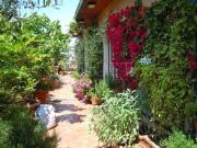 Attico di prestigio di 150 mq in vendita Roma, Lazio