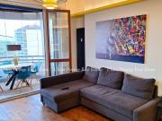 Attico in affitto a Milano, Istria