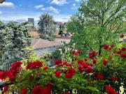 Attico in affitto a Milano, Maggiolina