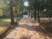 Attico in affitto a Roma via Flaminia Nuova, Due Ponti