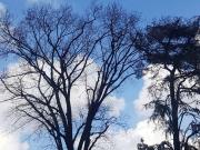 Attico in vendita a Milano