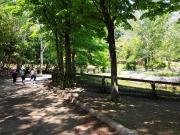 Attico / Mansarda in affitto a Riccione RN