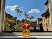 Attico / Mansarda in vendita a Milano MI