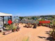 Attico / Mansarda in vendita a Pomezia RM